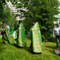 Photo 49
